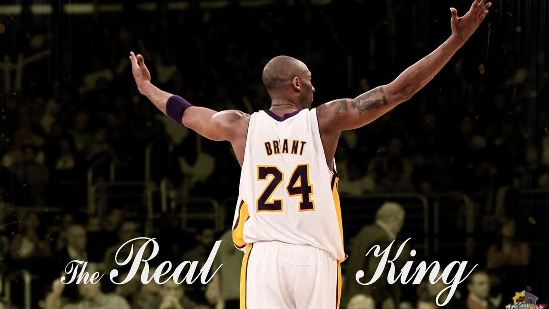 开云体育登陆入口-火箭更新球员个人数据页面提升球迷互动体验，火箭球队球员